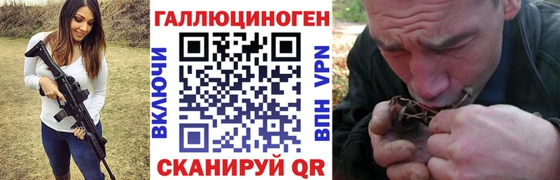 Псилоцибиновые грибы Psilocybine cubensis  Озёрск 